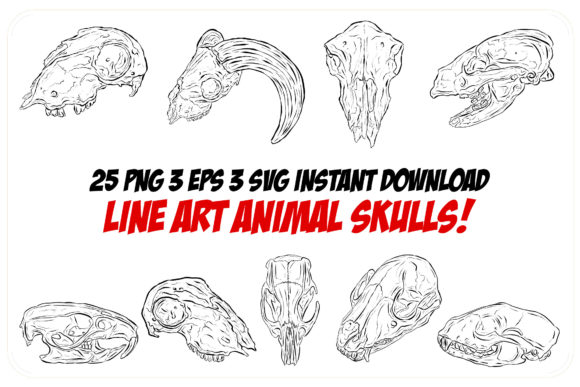 Download Line Art Animal Ram Sheep Skulls Horns - Line art animal Collection